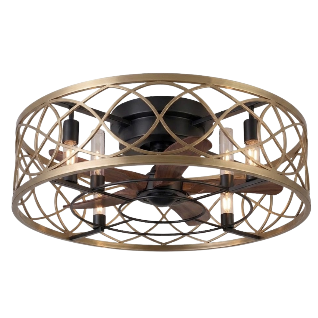 Caged Ceiling Fan with Light - 20-Inch Flush Mount and 6-Speed Remote