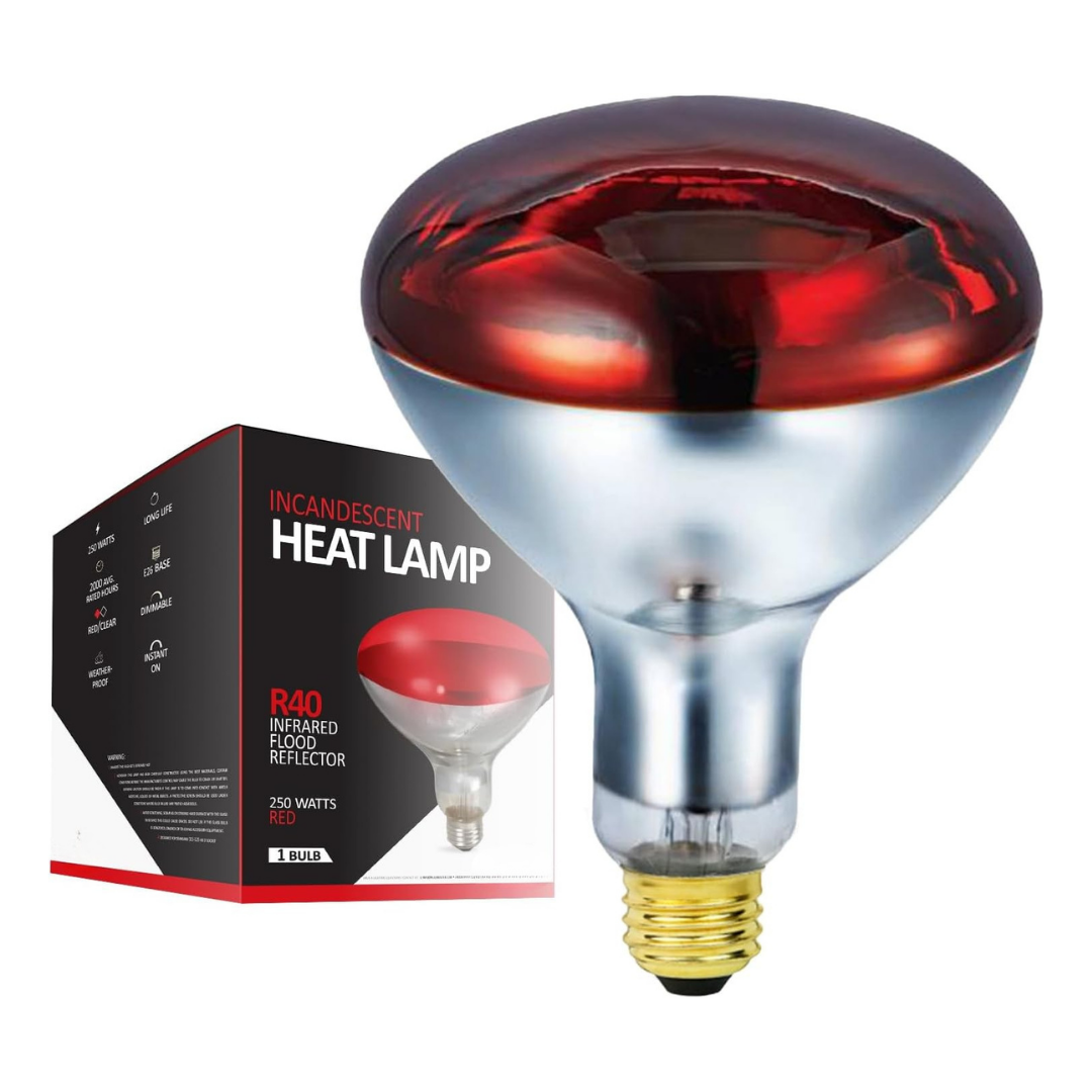 R40 250W Outdoor Infrared Heat Lamp Bulb