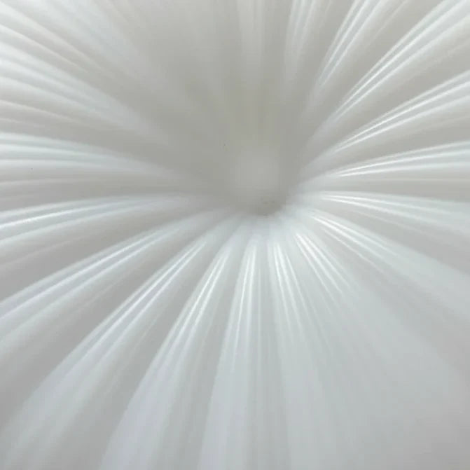 Ceiling Light Pleated Acrylic Integrated Warm White LED Flush Mount