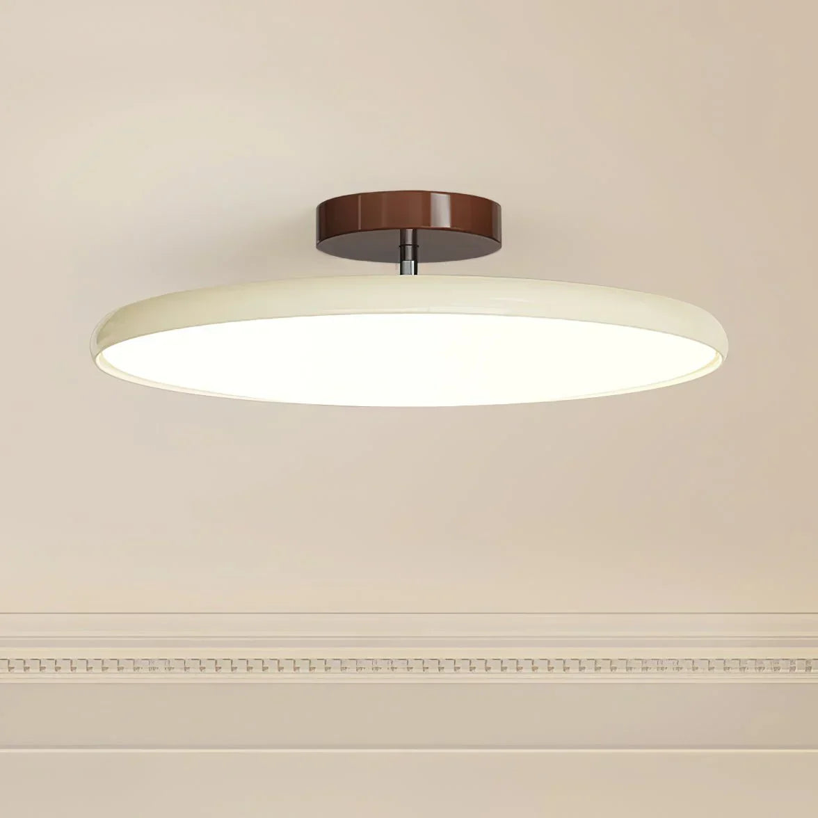Versatile Modern Ceiling Light for Any Room