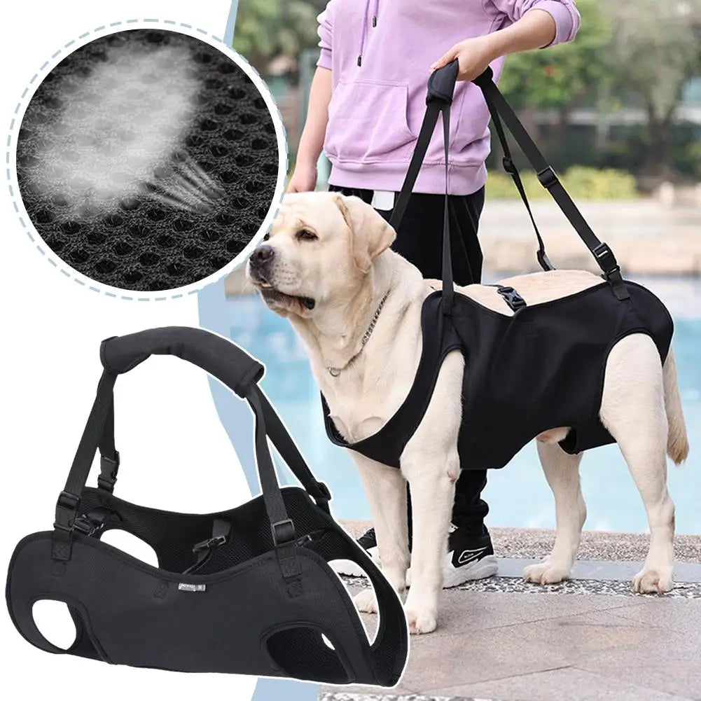 Reliable Pet Mobility Aid Sling