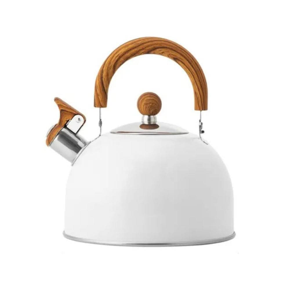 Classic Stainless Steel Kettle with Whistle for Quick Boiling