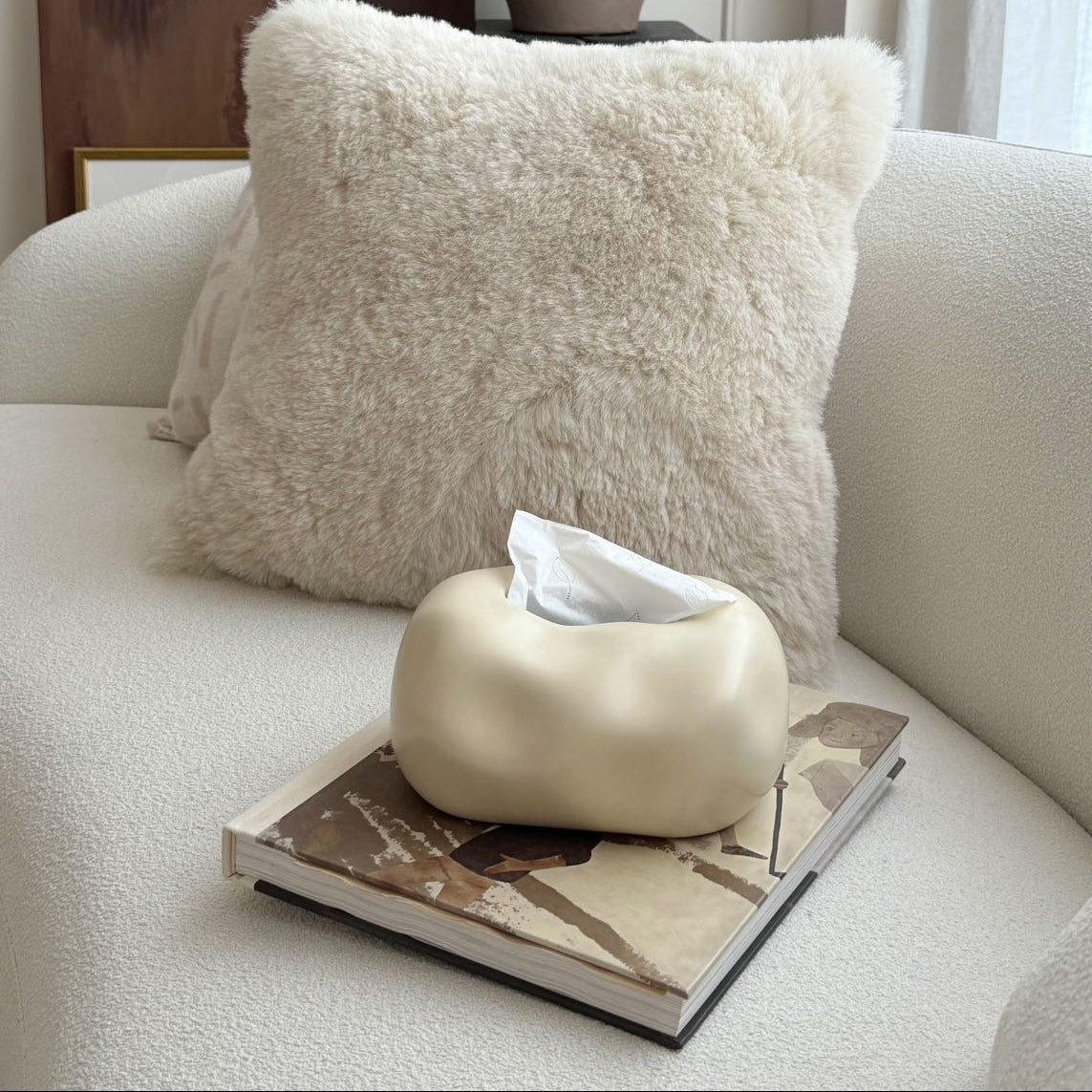 Elegant Cloud-Inspired Ceramic Tissue Organizer