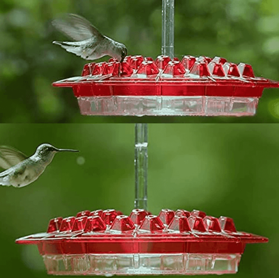 Colorful Hummingbird Feeder with Nectar Reservoir and Pest Shield