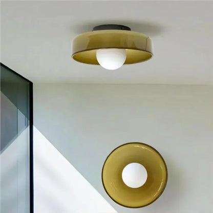 Elegant Dual-Mount Light Fixture with Glass Globe Design