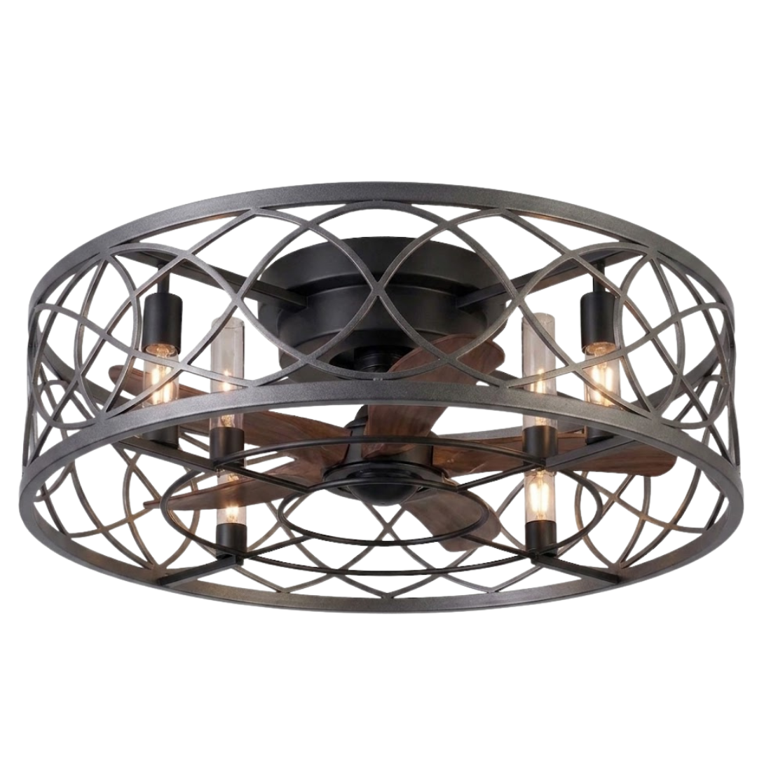 Caged Ceiling Fan with Light - 20-Inch Flush Mount and 6-Speed Remote