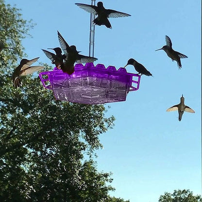 Colorful Hummingbird Feeder with Nectar Reservoir and Pest Shield