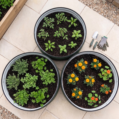 Set of 3 Round Galvanized Raised Garden Beds - 24 x 12 Inches