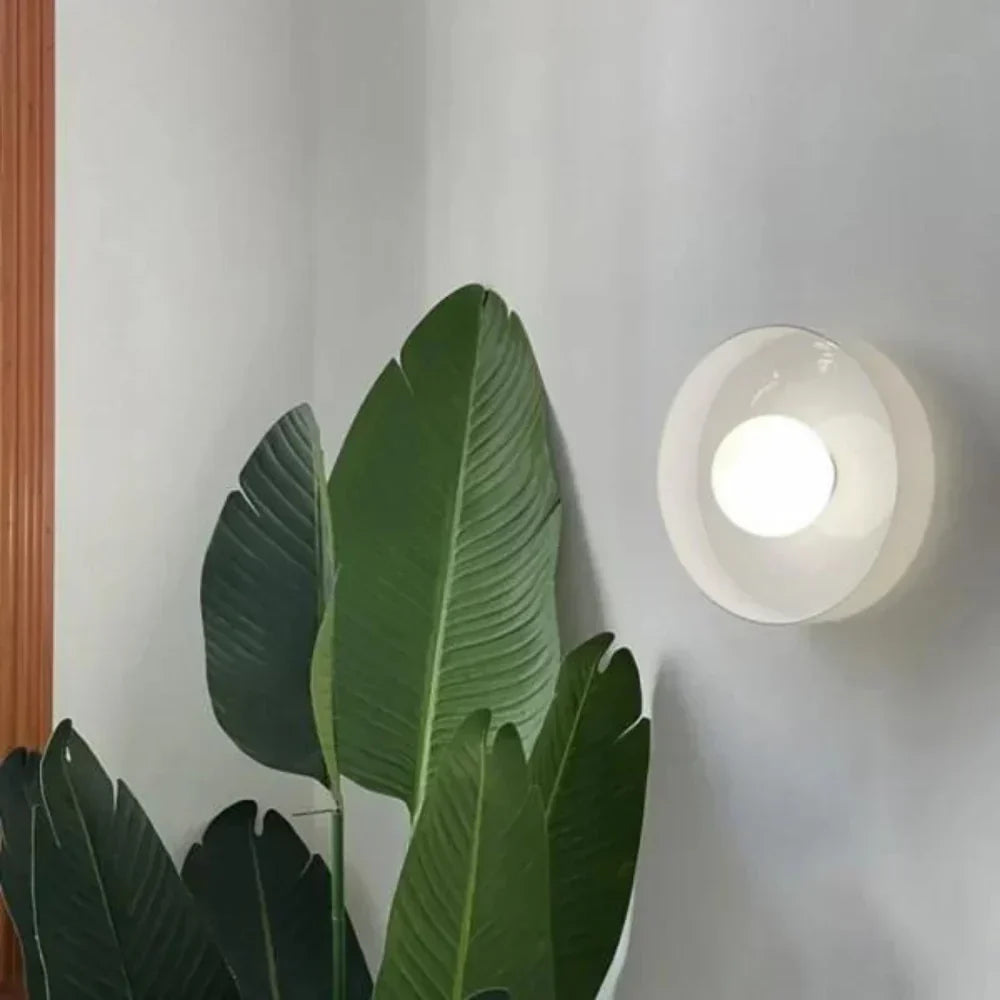 Elegant Dual-Mount Light Fixture with Glass Globe Design