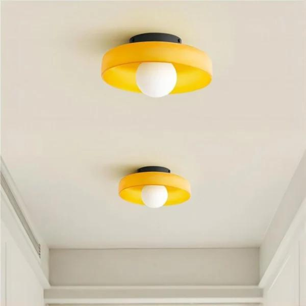 Elegant Dual-Mount Light Fixture with Glass Globe Design