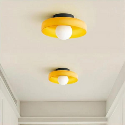Elegant Dual-Mount Light Fixture with Glass Globe Design