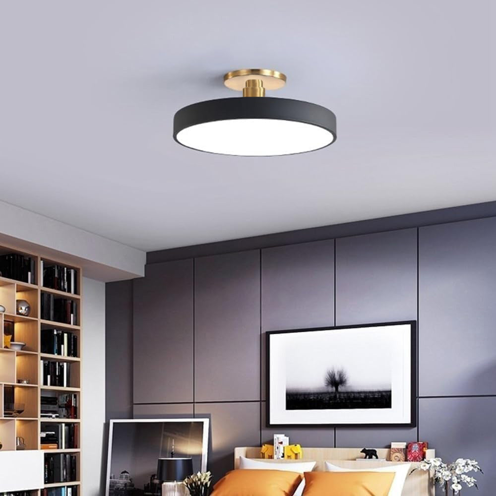 Chic Two-Color LED Ceiling Light with Convenient Remote Control