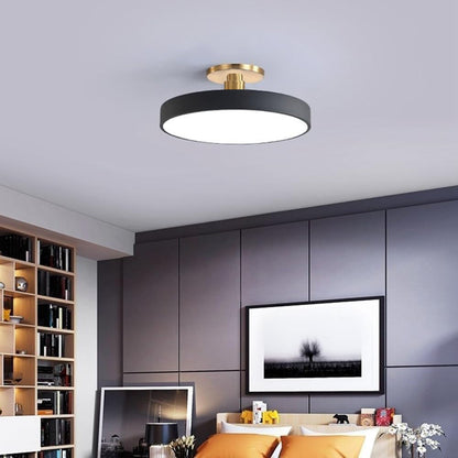 Chic Two-Color LED Ceiling Light with Convenient Remote Control
