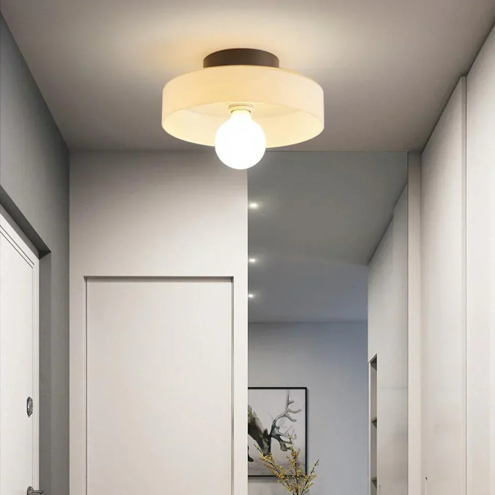 Elegant Dual-Mount Light Fixture with Glass Globe Design