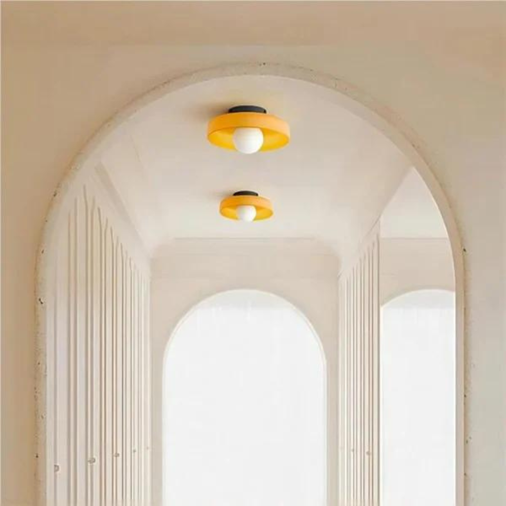 Elegant Dual-Mount Light Fixture with Glass Globe Design