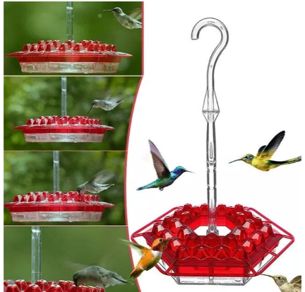 Colorful Hummingbird Feeder with Nectar Reservoir and Pest Shield