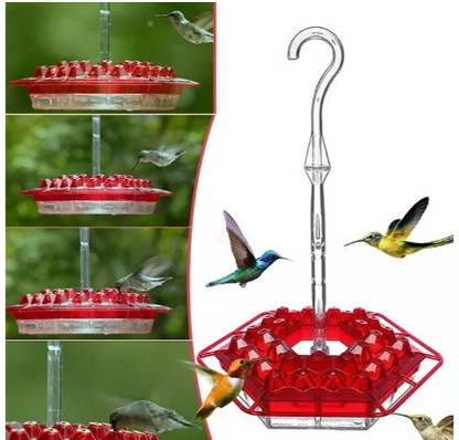 Colorful Hummingbird Feeder with Nectar Reservoir and Pest Shield