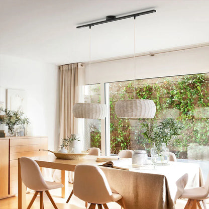 Versatile Ceiling Track Light System with Adjustable Pendant Mount