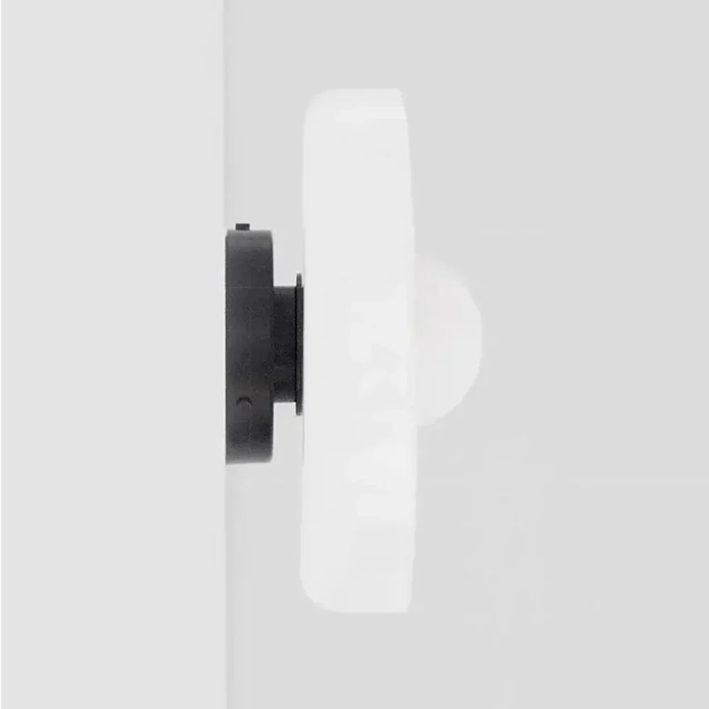 Elegant Dual-Mount Light Fixture with Glass Globe Design