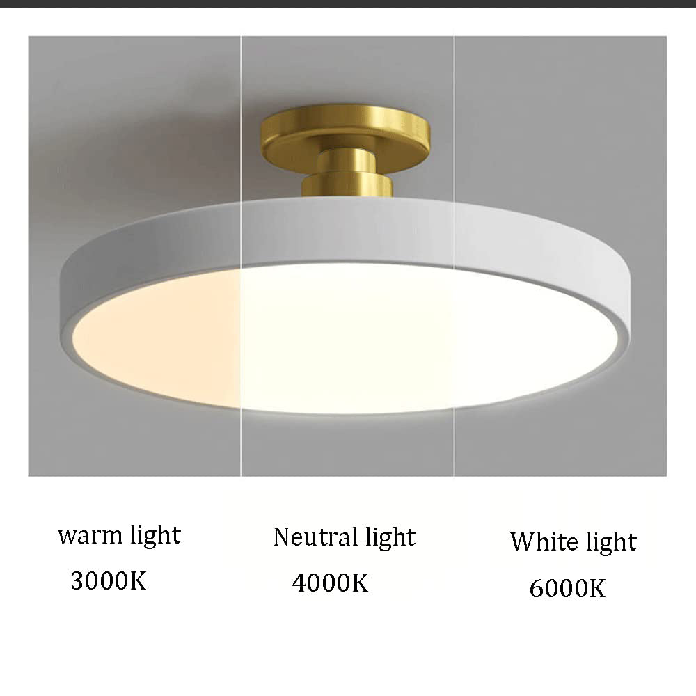 Chic Two-Color LED Ceiling Light with Convenient Remote Control
