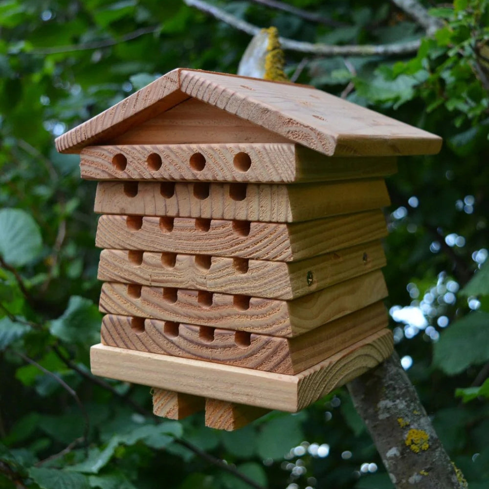 Eco-Friendly Cedar & Copper Bee Sanctuary with Custom Holes