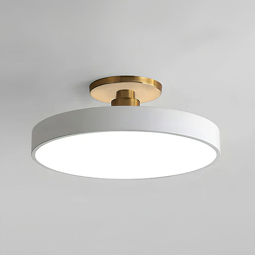 Chic Two-Color LED Ceiling Light with Convenient Remote Control