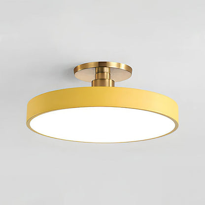 Chic Two-Color LED Ceiling Light with Convenient Remote Control
