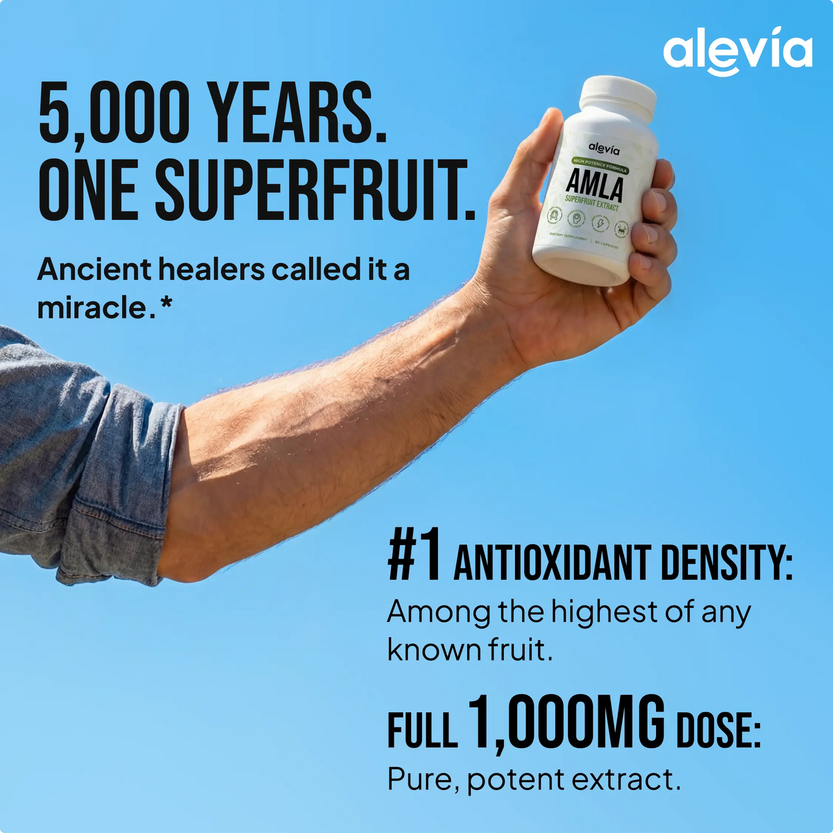 Amla Supplement Capsules Standardized Extract Stimulant-Free