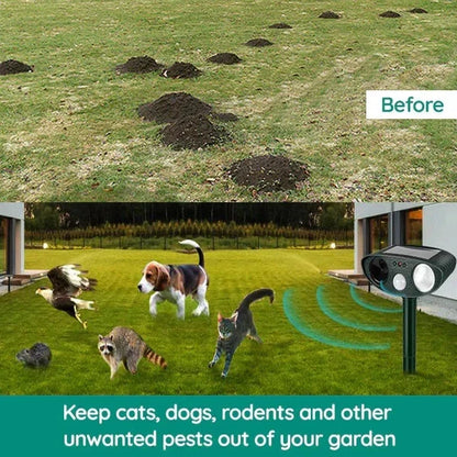 Armadillo Repellent Motion-Activated Ultrasonic Solar-Powered Weatherproof