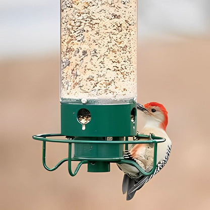 Bird Feeder Squirrel-Proof Weight-Activated Weather-Resistant Four-Port