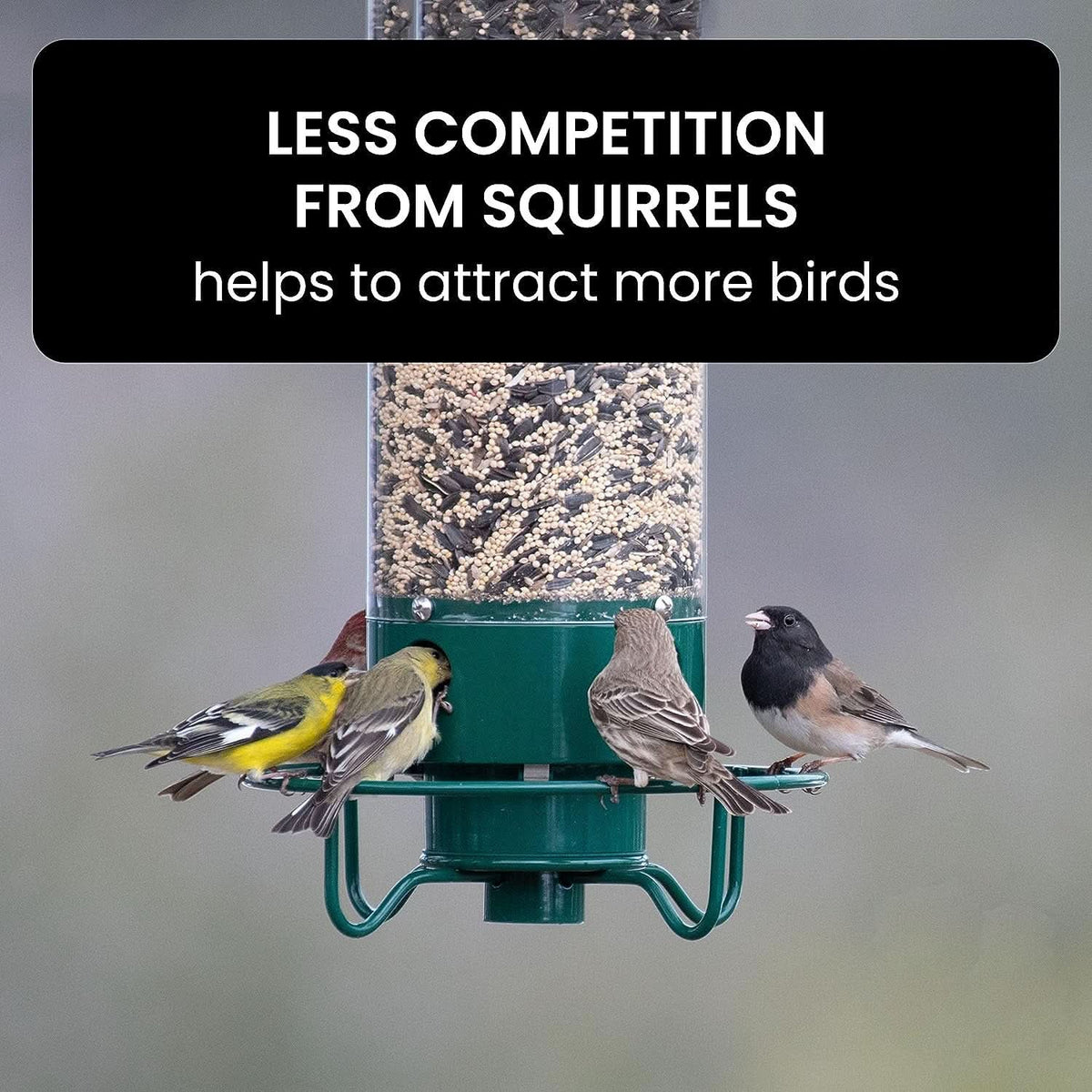 Bird Feeder Squirrel-Proof Weight-Activated Weather-Resistant Four-Port