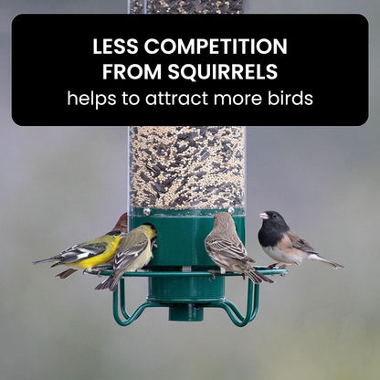 Bird Feeder Squirrel-Proof Weight-Activated Weather-Resistant Four-Port
