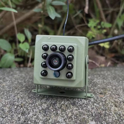 Bird-Watching Camera Full HD Night Vision Motion Detection