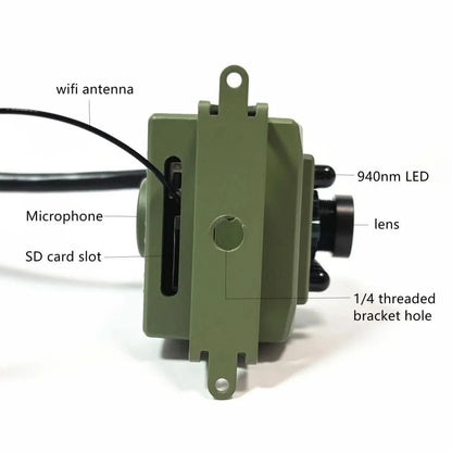 Bird-Watching Camera Full HD Night Vision Motion Detection