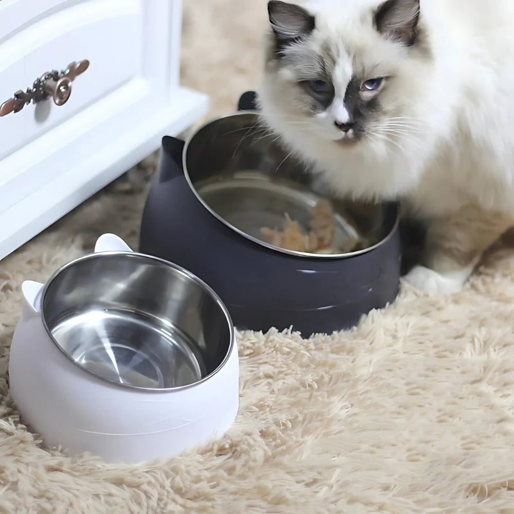 Cat Feeding Bowl 15° Tilt Stainless Steel & Non-Slip Base