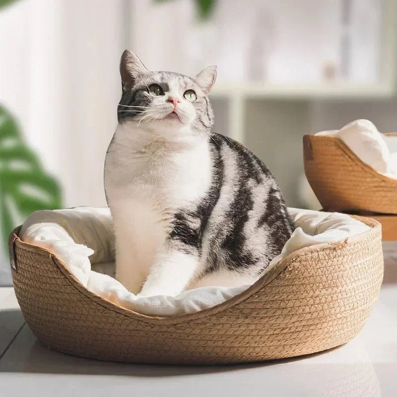 Cat Sofa Bamboo Frame Cotton Cushion Washable Cover