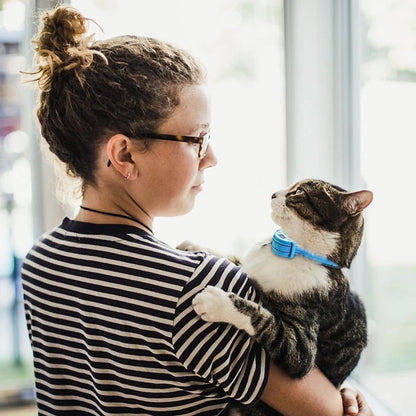 Cat Training Collar Waterproof Sound Vibration & Shock Modes