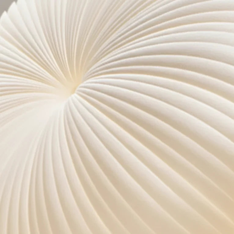 Ceiling Light Pleated Integrated LED Flush Mount
