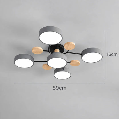 Ceiling Light Round Slim Replaceable LED Elements