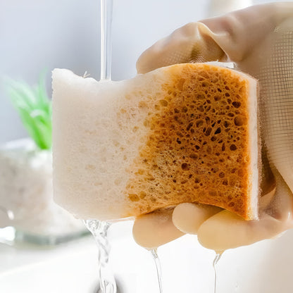 Dish Sponge S-Shape Coconut Fiber Non-Scratch