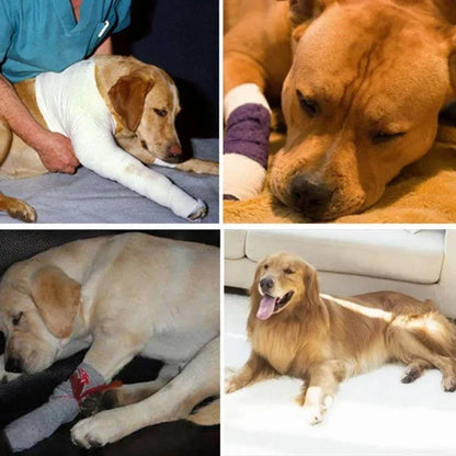 Dog Ankle Brace Compression Support Reflective Strips