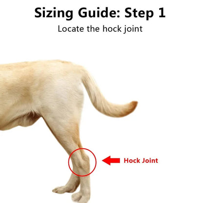 Dog Ankle Brace Compression Support Reflective Strips