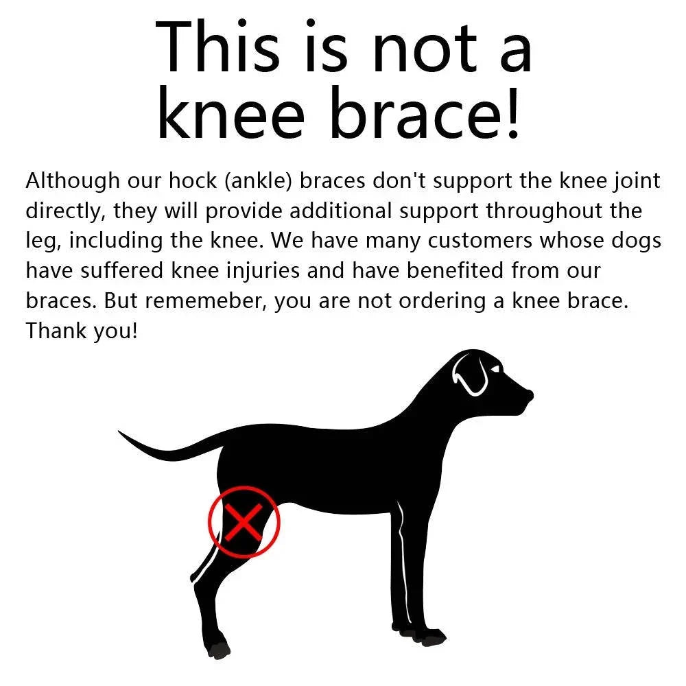 Dog Ankle Brace Compression Support Reflective Strips