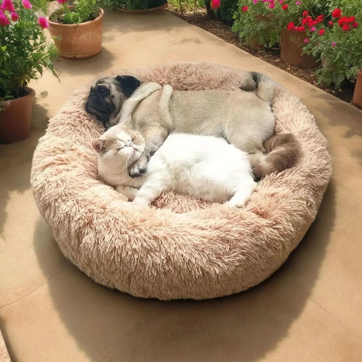 Dog & Cat Bed Ultra-Soft Corduroy Machine-Washable Raised Edge