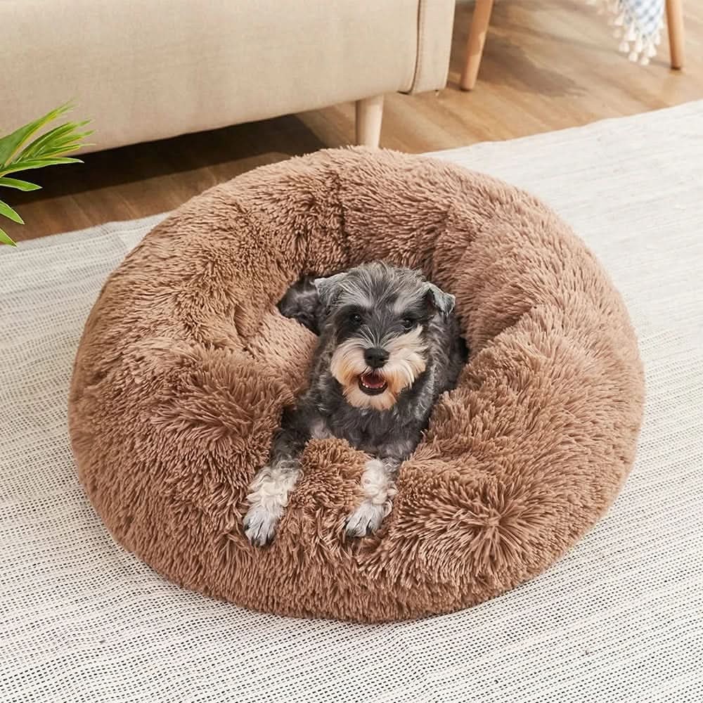 Dog & Cat Bed Ultra-Soft Corduroy Machine-Washable Raised Edge