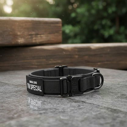 Dog Collar Padded Nylon Adjustable with Control Handle