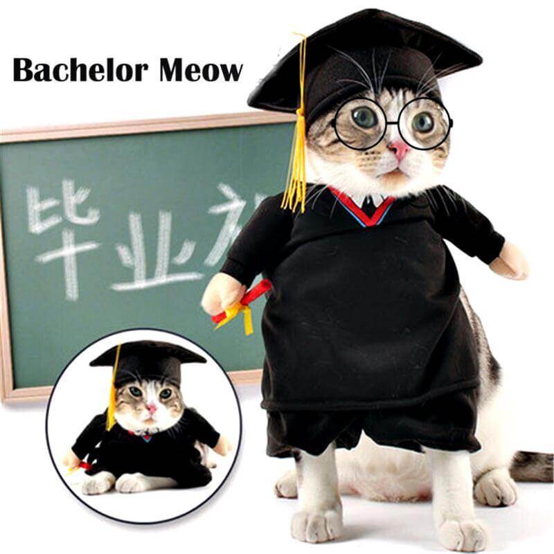 Dog Costume Professor Theme Breathable Cotton Blend