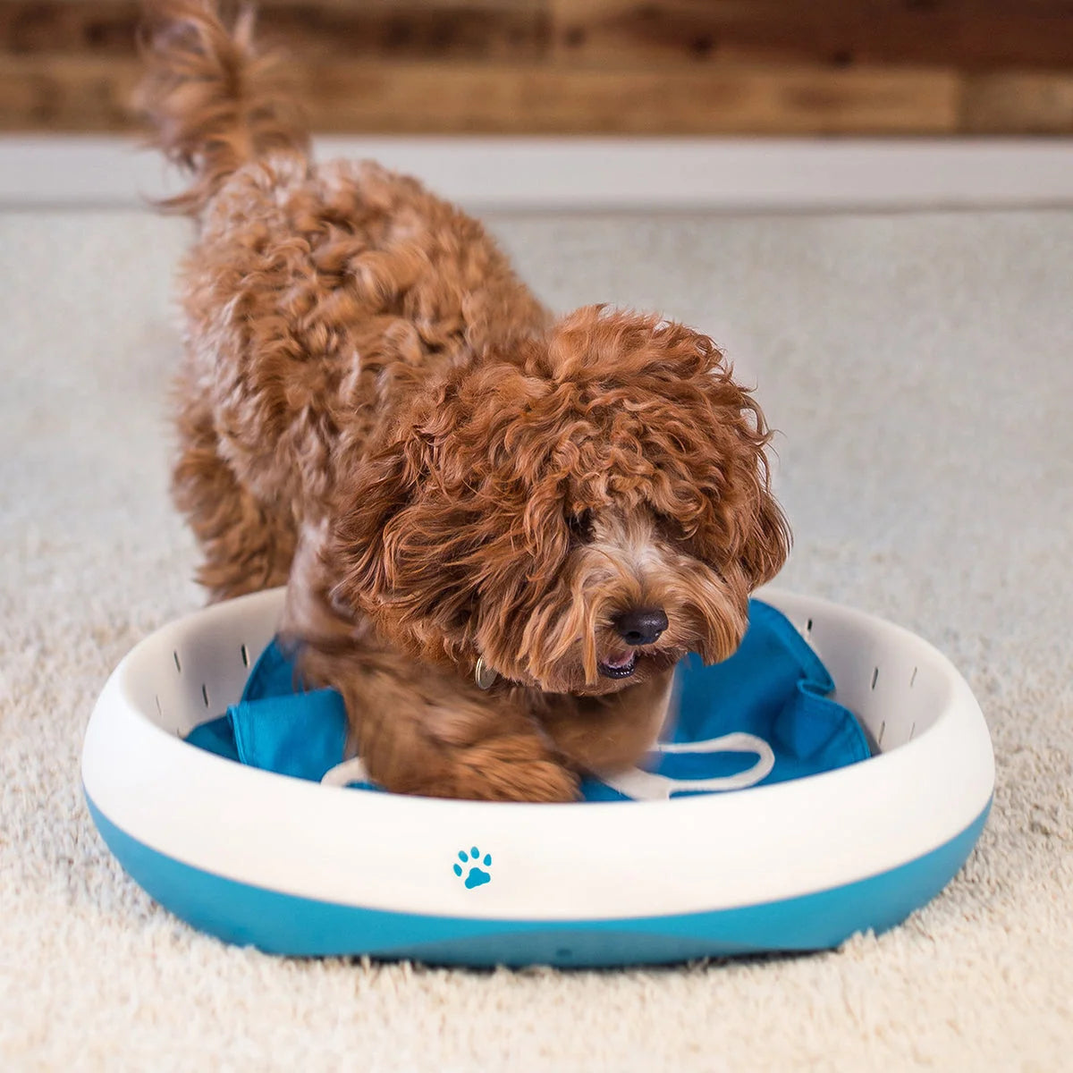 Dog Digging Toy Interactive Puzzle Machine-Washable Flaps