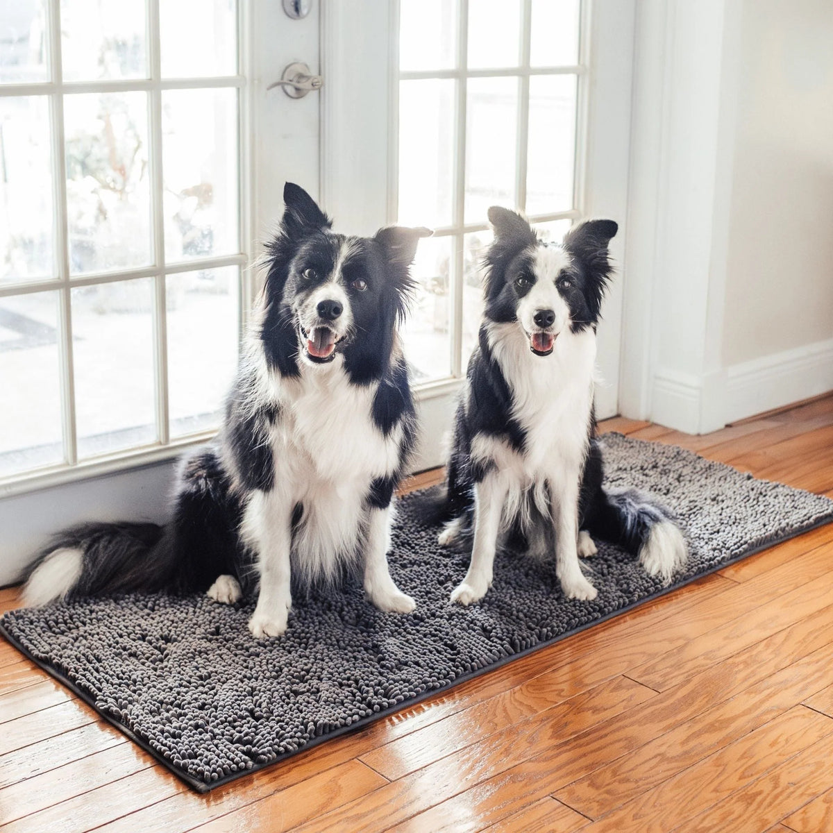 Dog Door Mat Absorbent Non-Slip Backing