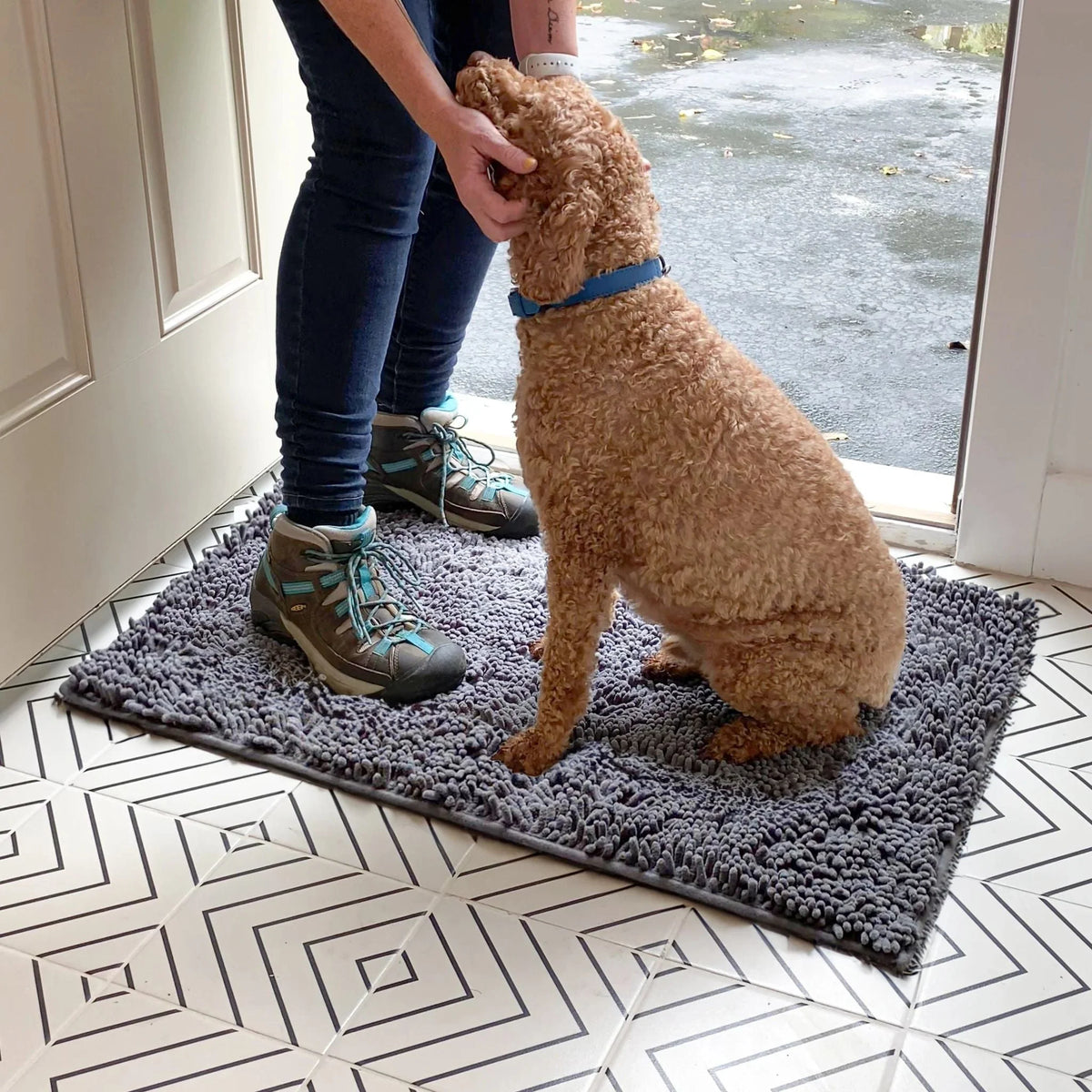 Dog Door Mat Absorbent Non-Slip Backing